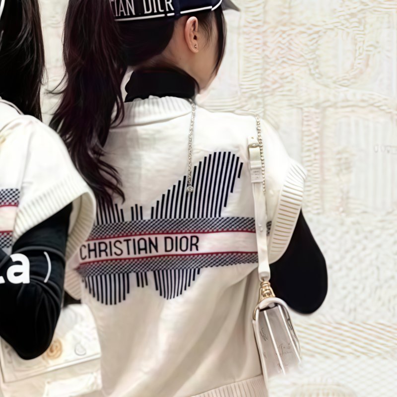 ❤️DIOR 24年Cruise系列 標誌蝴蝶圖案 羊絨羊毛背心-8