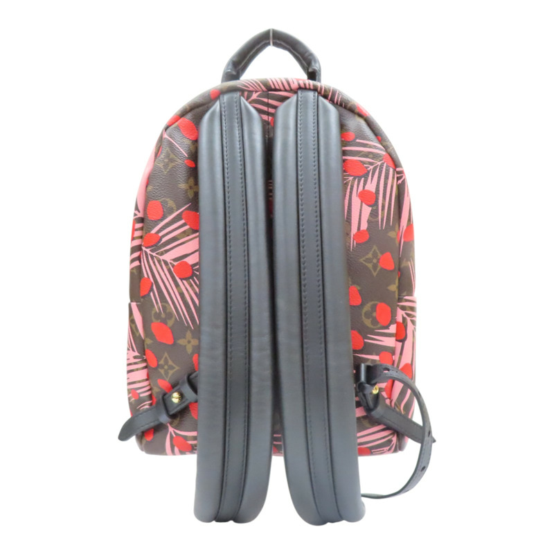 棕色 原花帆布 Jungle Dot Palm Springs 後背包【LOUIS VUITTON LV 路易威登】 M41981-1