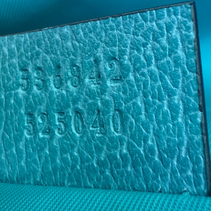 Gucci 背包式 單車🚴/爬山運動腰背包-10