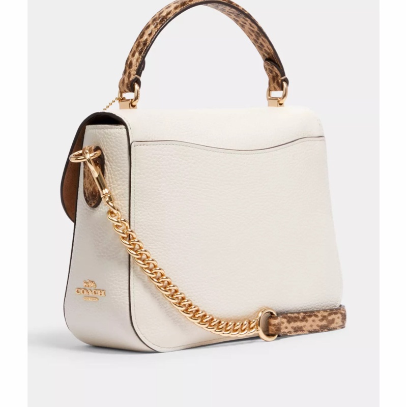 Coach 女士 LOGO掛牌手提包均碼碼-1