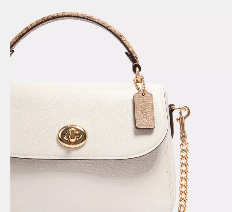 Coach 女士 LOGO掛牌手提包均碼碼-3