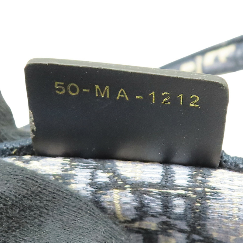 藍色 刺繡帆布 Book Tote Large 手提包【Dior 迪奧】 M1286ZRIW-7