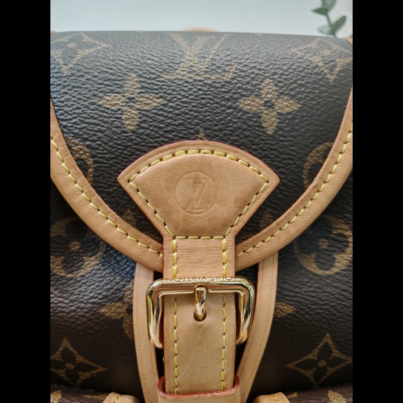 Louis Vuitton Excursion Backpack 小青蛙背包-12