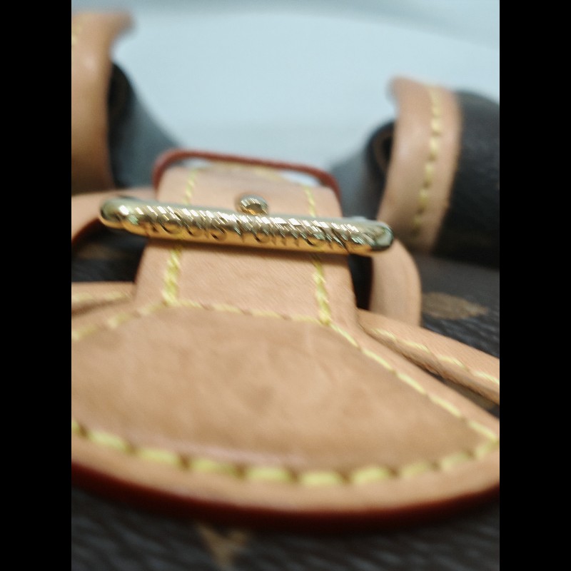 Louis Vuitton Excursion Backpack 小青蛙背包-13