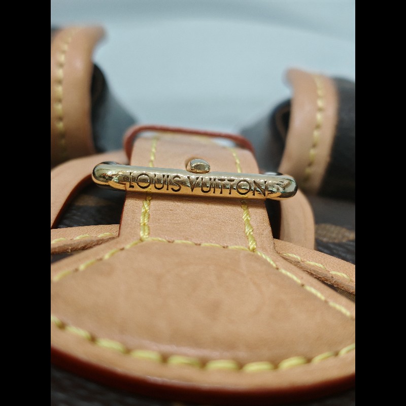 Louis Vuitton Excursion Backpack 小青蛙背包-14