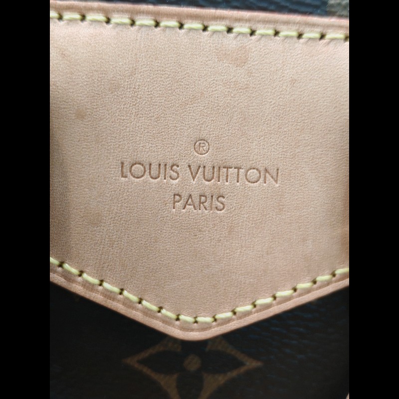 Louis Vuitton Excursion Backpack 小青蛙背包-24