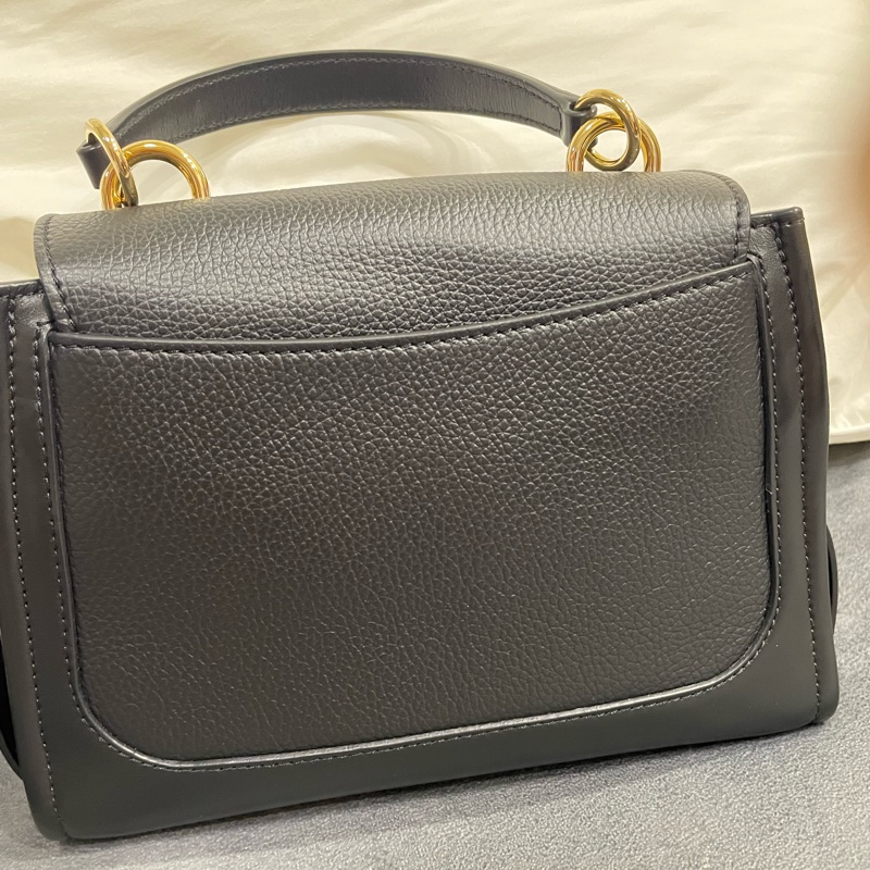 Chloe Tess day bag-7