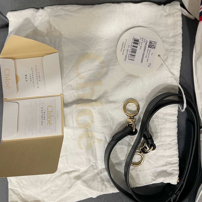 Chloe Tess day bag-14