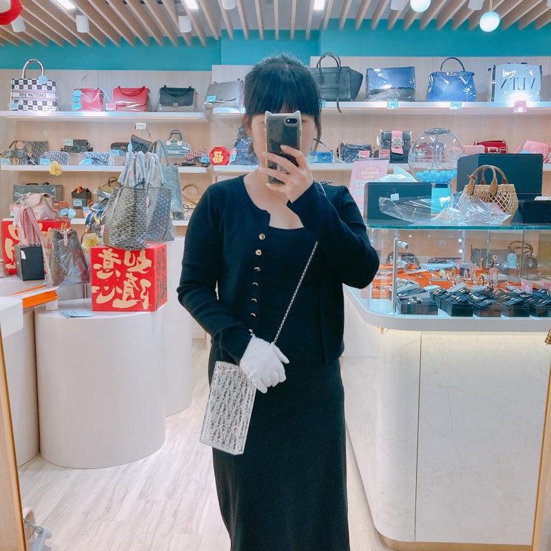 MS0515 CHRISTIAN DIOR 迪奧經典花紋透明水晶硬盒子包包VERTICAL POUCH PLEXIGLASS TRANSLUCENT-1
