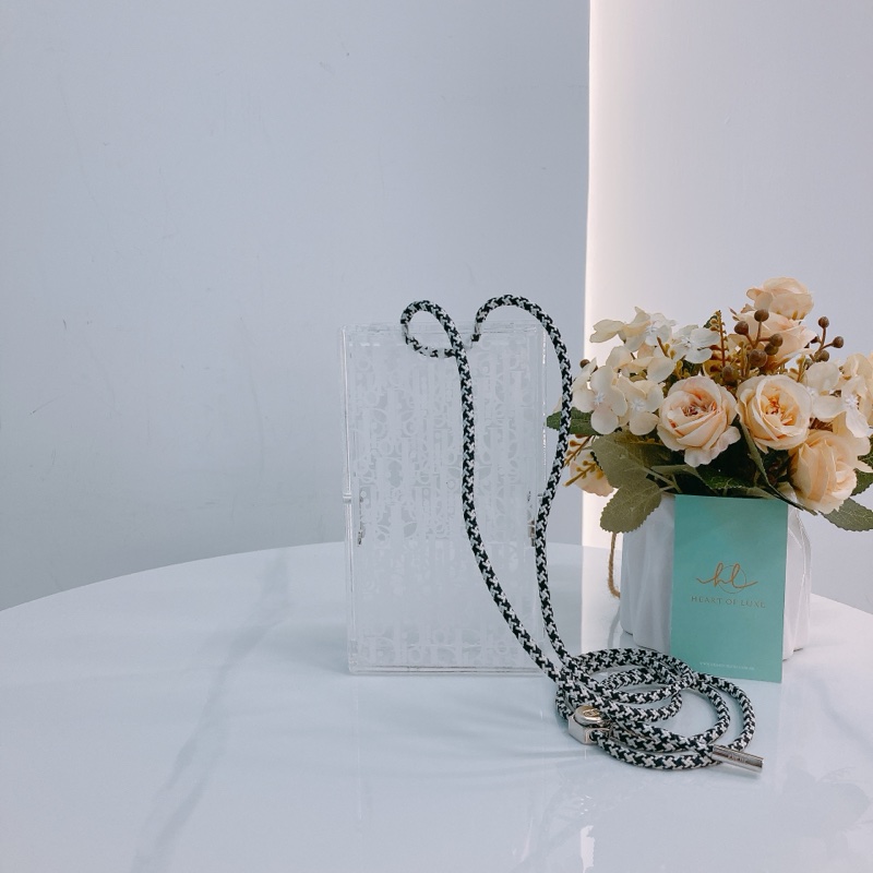 MS0515 CHRISTIAN DIOR 迪奧經典花紋透明水晶硬盒子包包VERTICAL POUCH PLEXIGLASS TRANSLUCENT-2