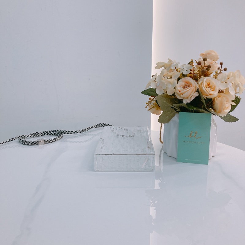 MS0515 CHRISTIAN DIOR 迪奧經典花紋透明水晶硬盒子包包VERTICAL POUCH PLEXIGLASS TRANSLUCENT-5
