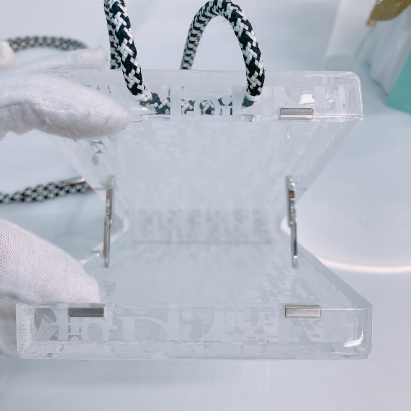 MS0515 CHRISTIAN DIOR 迪奧經典花紋透明水晶硬盒子包包VERTICAL POUCH PLEXIGLASS TRANSLUCENT-16