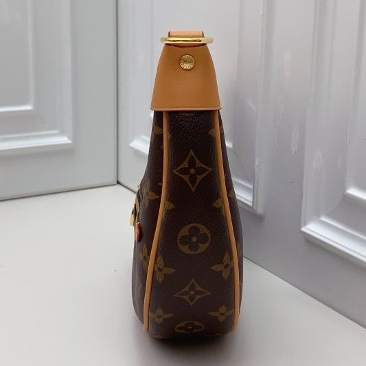 全新 Louis Vuitton路易威登老花豌荳月亮包loop芯片款-2