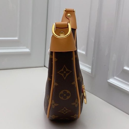 全新 Louis Vuitton路易威登老花豌荳月亮包loop芯片款-3