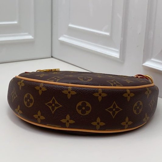 全新 Louis Vuitton路易威登老花豌荳月亮包loop芯片款-7