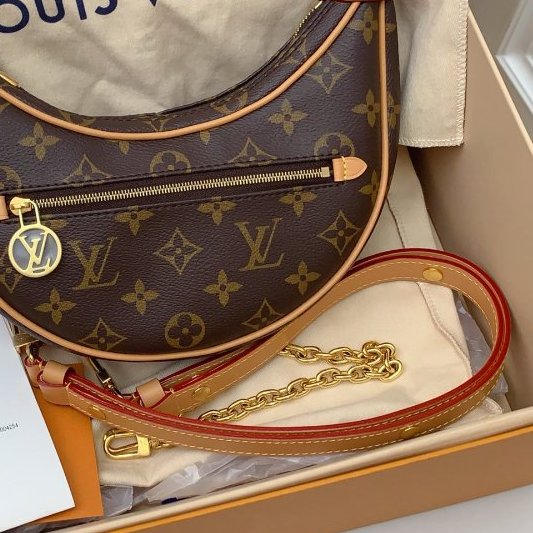 全新 Louis Vuitton路易威登老花豌荳月亮包loop芯片款-9