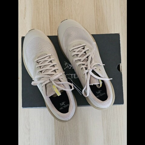 ARC'TERYX 始祖鳥 NORVANLD3M Size USA12