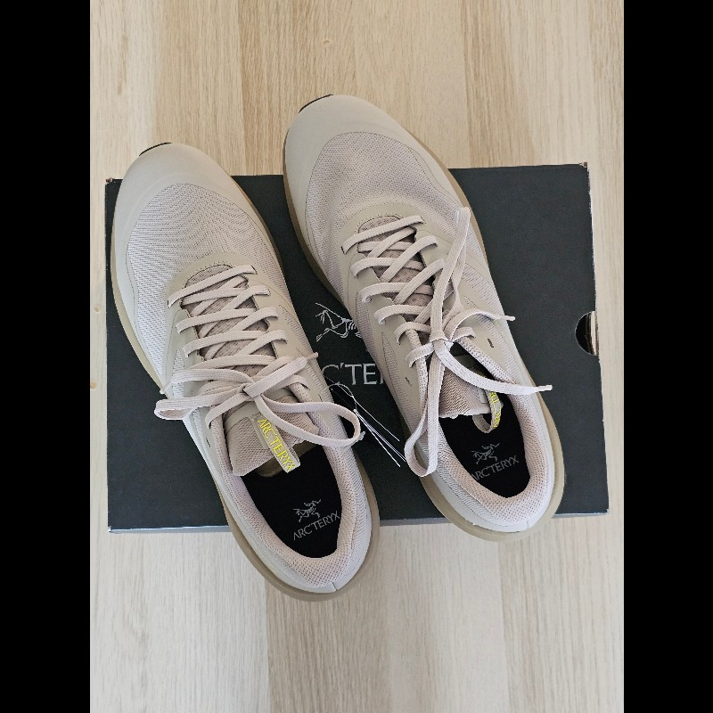 ARC'TERYX 始祖鳥 NORVANLD3M Size USA12-0