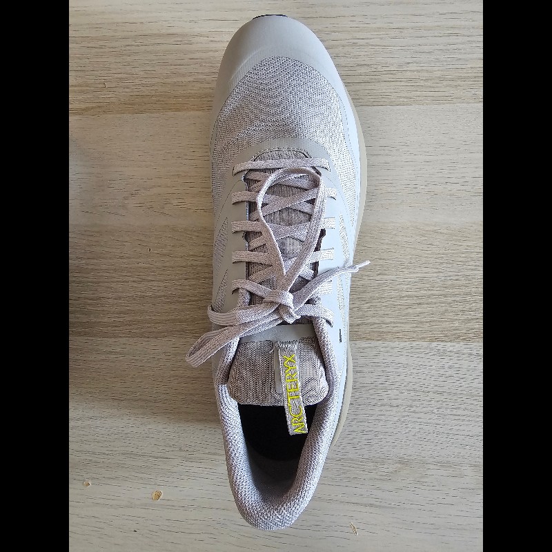 ARC'TERYX 始祖鳥 NORVANLD3M Size USA12-2