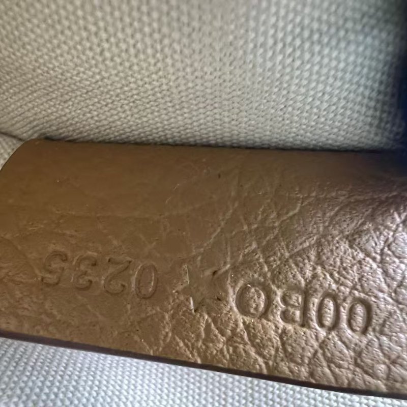 迪奧 Oblique 老花帆布郵差包-4