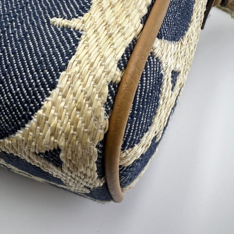 迪奧 Oblique 老花帆布郵差包-12