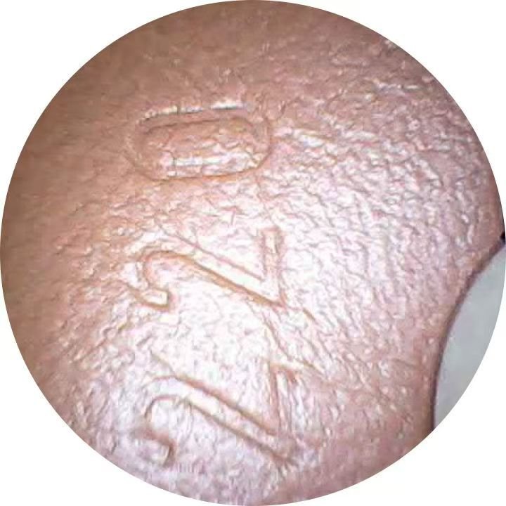 路易威登 Dauphine 達芙妮中號手袋-1