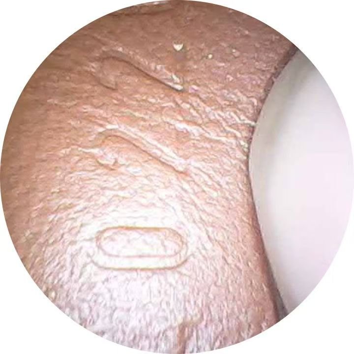 路易威登 Dauphine 達芙妮中號手袋-2