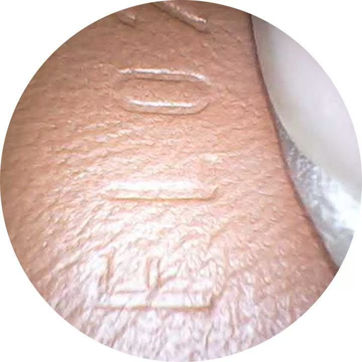 路易威登 Dauphine 達芙妮中號手袋-3