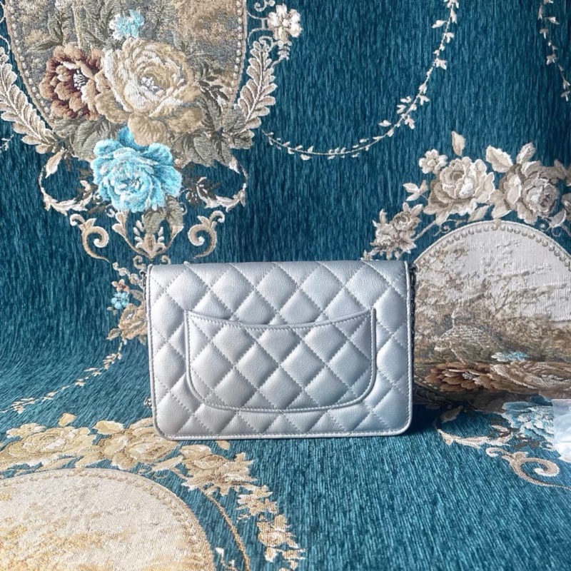 CHANEL 2.55 WOC shoulder bag-1