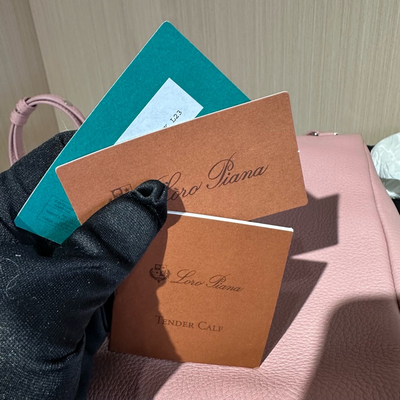 Loro Piana ExtraPocket L23.5 牛皮 豆腐包 雙肩包 小號 粉色-8