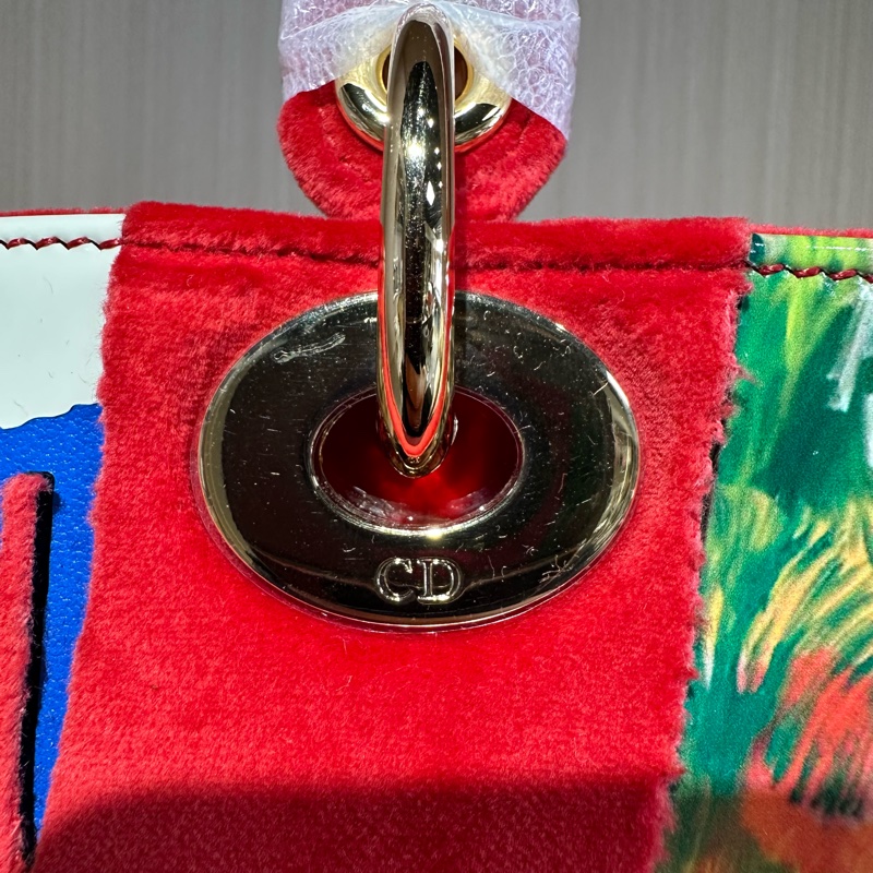 Dior迪奥 美国画家联名限定款 戴妃-4