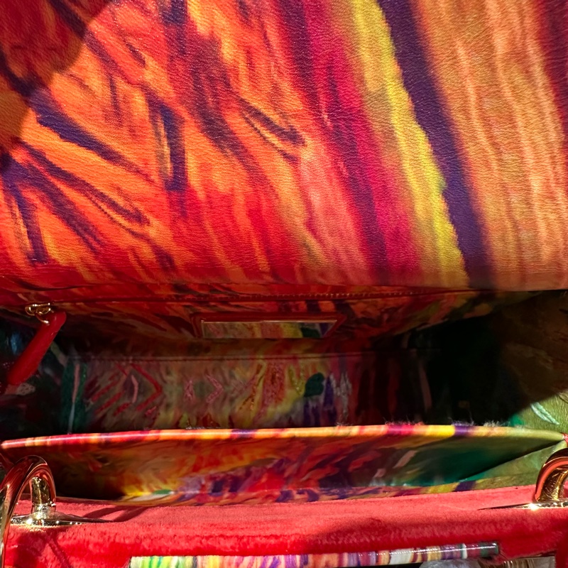 Dior迪奥 美国画家联名限定款 戴妃-5