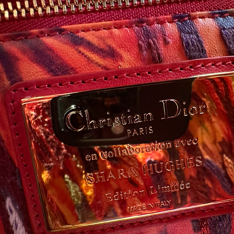 Dior迪奥 美国画家联名限定款 戴妃-7