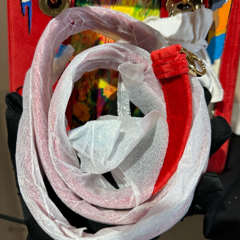 Dior迪奥 美国画家联名限定款 戴妃-8