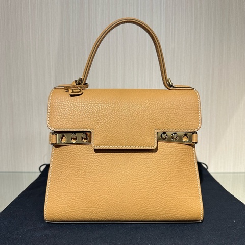 Delvaux Tempête金扣小牛皮 手提单肩斜挎包奶茶色