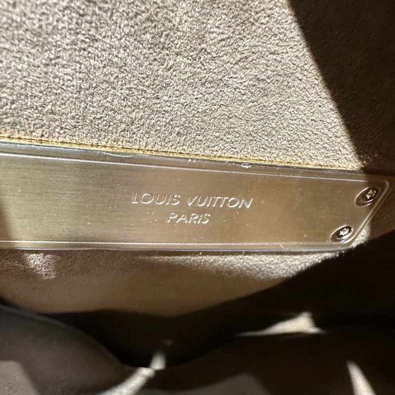 LV路易威登 老花達芙妮 單肩斜挎包 棕色拼淺米色-8