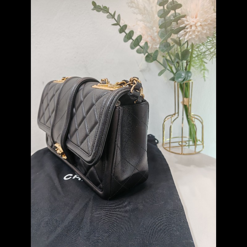 Chanel seasonal classic flap Medium-1