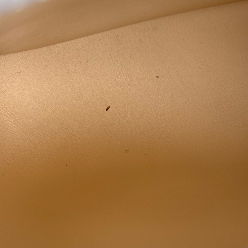 限定款 ::Louis Vuitton:: M59883 Capucines BB 米白x鵝黃色 手提包 斜背包 兩用包 彩色背帶-18