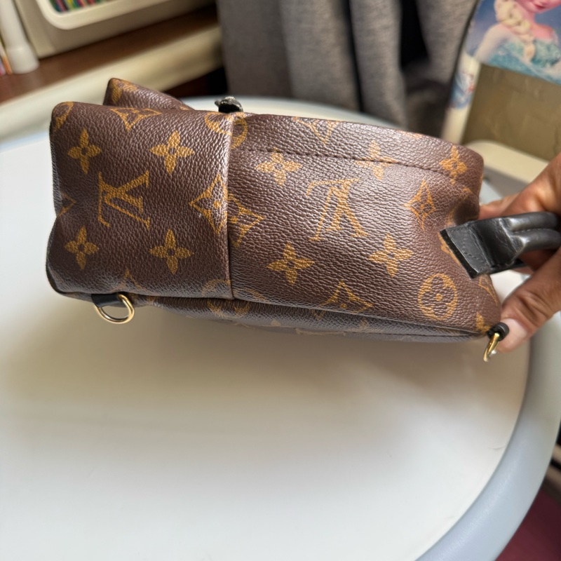 LV PLAM SPRING MINI BACKPACK-1