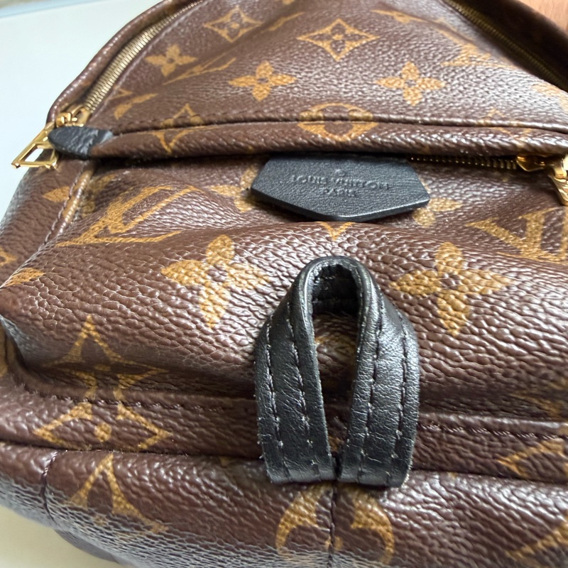 LV PLAM SPRING MINI BACKPACK-5
