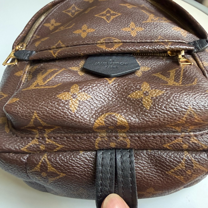 LV PLAM SPRING MINI BACKPACK-6