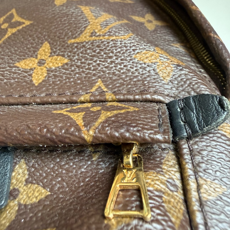 LV PLAM SPRING MINI BACKPACK-7