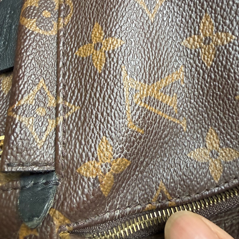 LV PLAM SPRING MINI BACKPACK-9