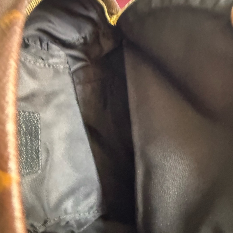 LV PLAM SPRING MINI BACKPACK-10