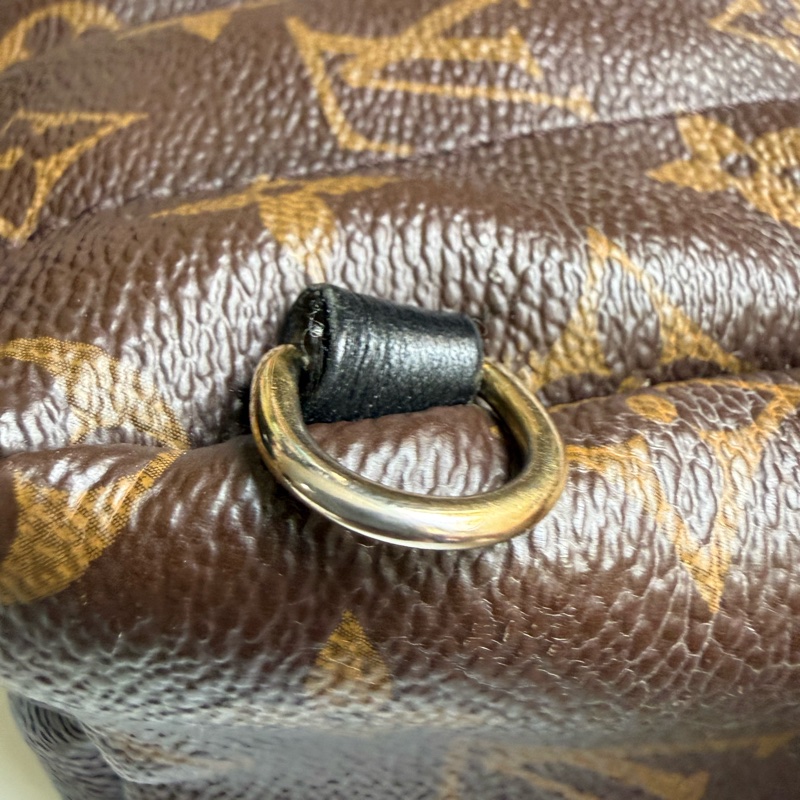 LV PLAM SPRING MINI BACKPACK-14
