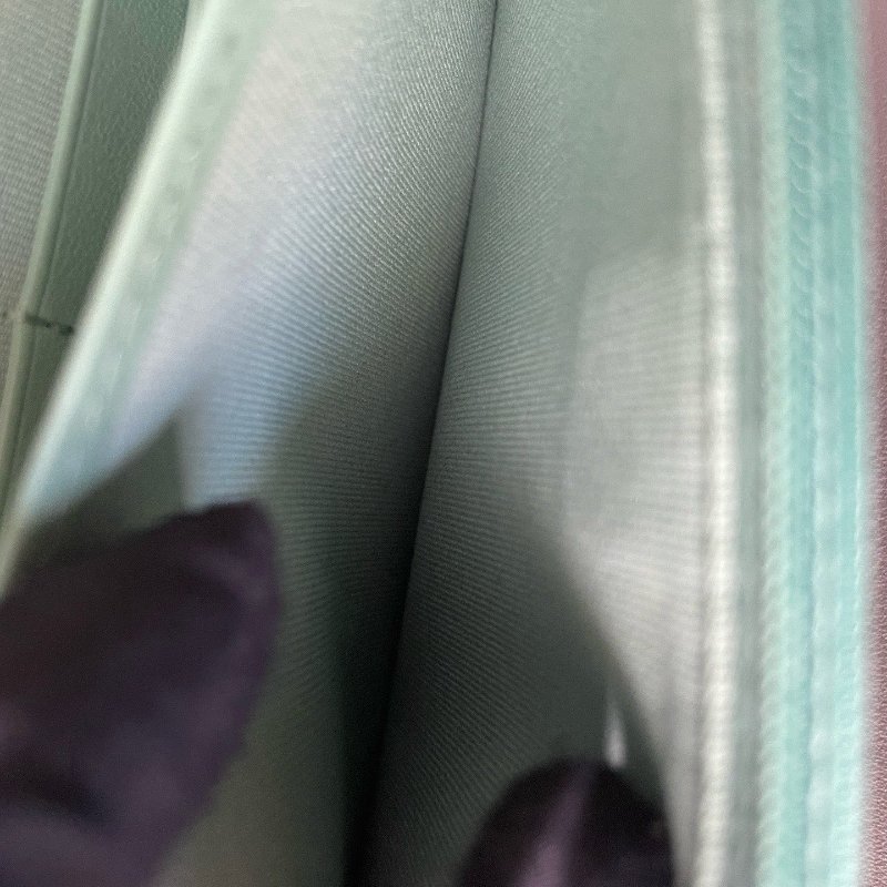 閒置新 Chanel香奈兒彩虹手柄牛油果綠WOC芯片款-14