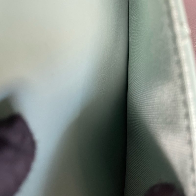 閒置新 Chanel香奈兒彩虹手柄牛油果綠WOC芯片款-15