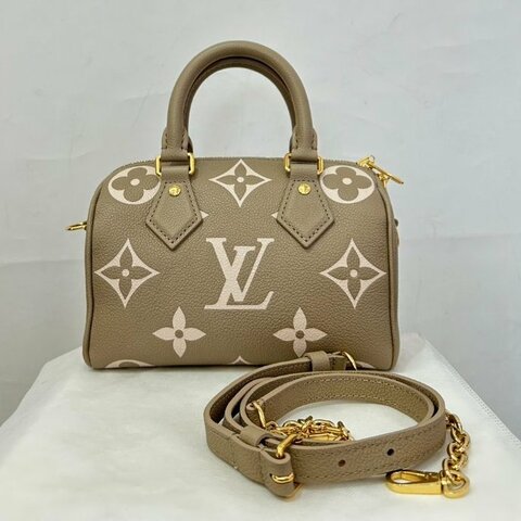 Louis Vuitton斑鳩灰牛皮壓紋Speedy20