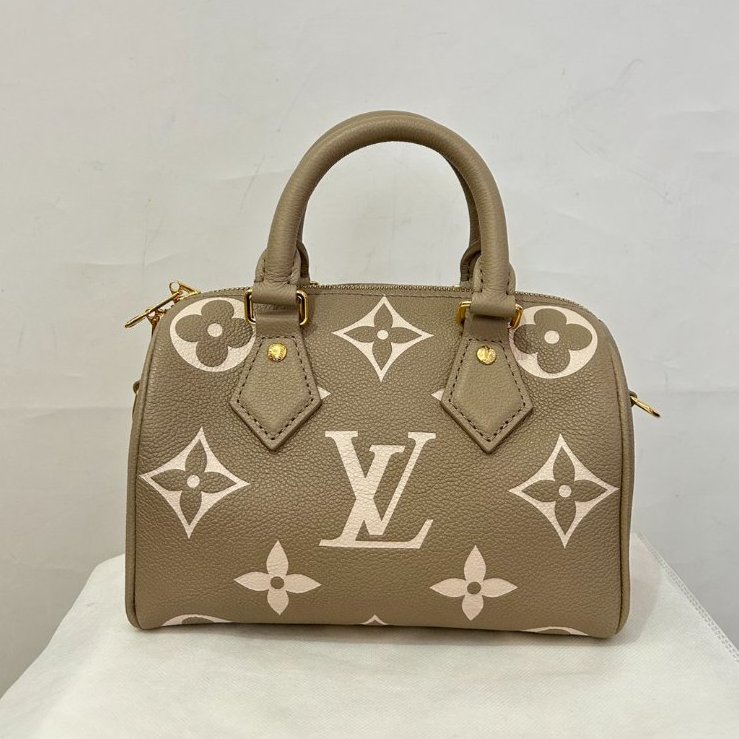 Louis Vuitton斑鳩灰牛皮壓紋Speedy20-2