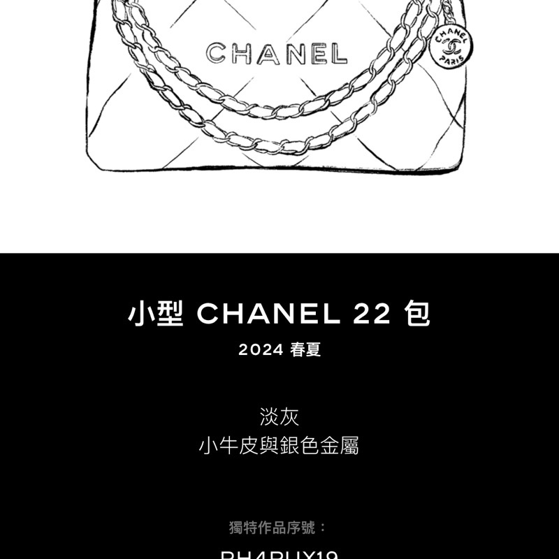 CHANEL 22 小號淡灰銀-23